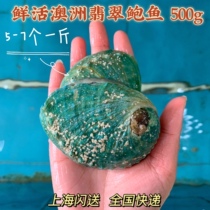 上海闪送进口翡翠鲍鱼南非特产野生鲍鱼海鲜鲜活南非珍珠鲍鱼500g