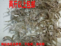 混特价出口韩国海燕鱼干丁香鱼海蜒小银鱼鳀鱼银鱼补钙锌白饭鱼