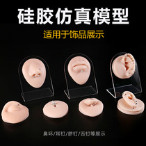 硅胶仿真人体五官模型耳朵鼻子嘴巴肚脐仿真器官道具钉环饰品展示