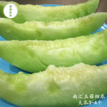 上海特产水果 正宗南汇玉菇甜瓜 净重10斤 青皮绿肉 软糯蜜甜