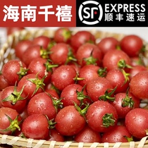 海南陵水小番茄小西红柿圣女果顺丰5斤应季水果千禧皮薄多汁