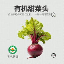 【大果】有机甜菜头云南甜菜根榨汁新鲜红甜菜蔬菜沙拉火焰菜5斤