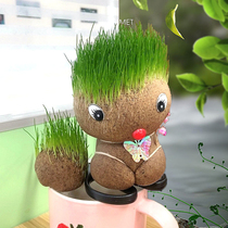 草头娃娃创意迷你小绿植室内盆栽植物幼儿园儿童礼物微观长草娃娃
