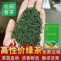 绿茶2024年新茶早春松阳香茶炒青绿茶浓香型板栗香250g500g罐装纯