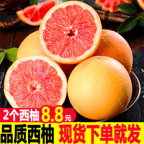 福建红心西柚6个包邮鲜果新鲜当季孕妇水果国产大红肉葡萄柚子