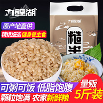 九鲤湖糙米5斤新米东北糙米饭低脂健身玄米粗粮五谷杂粮胚芽米饭