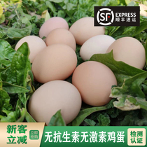 山鸡蛋农家散养土鸡蛋柴鸡蛋无抗生素生态养殖草鸡蛋富硒有机30枚