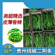 贵州高原新鲜辣椒线椒二荆条当季农家露天种植