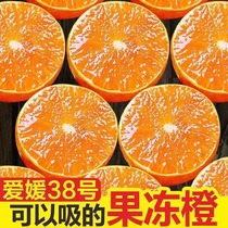 【颂珂专属】 四川眉山爱媛果冻橙5斤 8斤