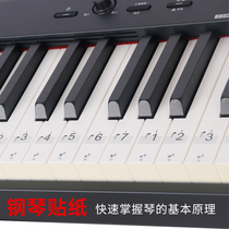 88键61键54键电子琴键盘贴钢琴键盘贴纸五线谱简谱音符键位贴数字