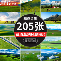 内蒙古大草原牛羊马群牧场青山绿水蓝天白云奔跑自然风景背景图片