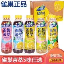 雀巢茶萃柠檬冻红茶樱花青提桃乌龙500ml*15瓶低糖果汁茶饮料饮品