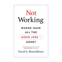 英文原版 Not Working 不工作 所有的好工作都去哪儿了 劳动力市场 经济学教授David G. Blanchflower英文版 进口英语原版书籍