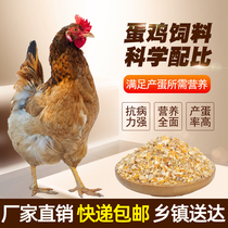 直销蛋<em>鸡饲料</em>喂鸡母鸡产蛋料小鸡鸭鹅鸟碎玉米颗粒全价打窝料40斤