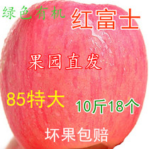 陕西礼泉当季红富士苹果孕妇水果丑苹果新鲜脆甜不打蜡10斤。