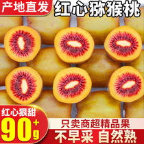 【精选】四川蒲江红心猕猴桃新鲜包邮30枚当季奇异果孕妇水果整箱