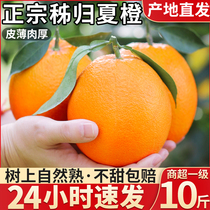 广西夏橙10斤新鲜橙子水果当季冰糖甜橙果冻手剥脐橙高山橙整箱大