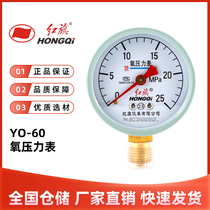 红旗YO-60氧气压力表禁油2.5级1mpa各种气体径向减压阀高低压表头
