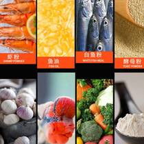 寿星头红瑞神爆头罗汉鱼饲料专用小型鱼热带鱼高蛋白鱼食鱼粮