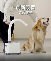 派可为宠物吹水机大功率高效吹风机大型犬狗狗洗澡烘干箱吹毛神器