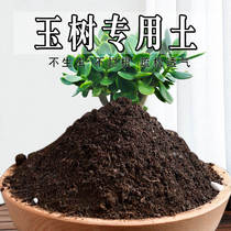玉树专用土玉树专用营养土养花种花土通用种植土酸性土壤有机肥料