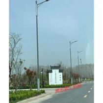 厂新农村5米8米10米双头市电路灯户外高杆灯小区道路灯5米30W单头