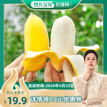 【烈儿宝贝直播间】苹果香蕉软糯香甜3-5斤