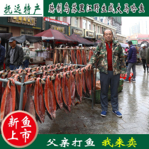 咸大马哈鱼新鱼整条腌制红肉马哈鱼东北黑龙江抚远特产纯江鱼咸鱼