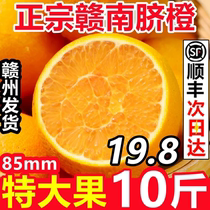正宗江西赣南脐橙20斤大果赣州橙子新鲜手剥甜橙当季时令水果整箱