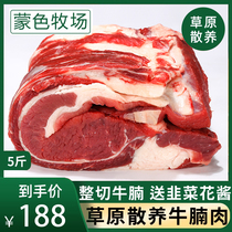内蒙古牛肉整切牛腩块正宗草原牛腩肉散养现杀黄牛生牛肉商用5斤