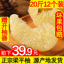 重庆土特产梁平柚梁山柚麻柚子平顶柚当季新鲜水果20斤12个包邮