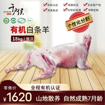 千户侯右玉有机羊肉新鲜白条烤全羊整只烧烤食材清真36斤