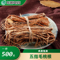 广东河源五指毛桃野生新鲜煲汤材料客家特产五爪龙根椰香味500g