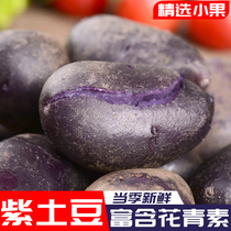 紫土豆新鲜黑土豆紫色小土豆黑金刚马铃薯蔬菜紫心乌洋芋小果3斤