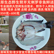 罗非鱼新鲜活鱼肉非冷冻活体淡水野生福寿鱼 350-400克 5条起包邮