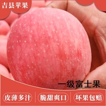 山西吉县壶口特级苹果自家果园酵素光碳合肥生产8.5斤红富士脆甜