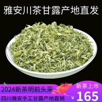 蒙顶甘露新茶2024四川雅安高山明前特产绿茶浓香头采手工茶叶125g