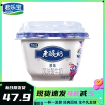 君乐宝老酸奶碗装酸奶益生菌发酵乳经典酸牛奶营养早餐奶酸奶整箱