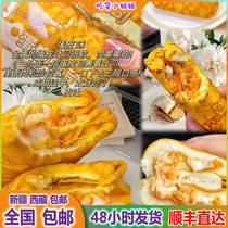 新疆西藏包邮金黄蛋皮吐司沙拉肉松夹心面包早餐代餐蛋糕点心零食