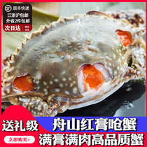 舟山红膏呛蟹特产海鲜梭子蟹鲜活腌制生腌整只咸螃蟹 3只装 4-6两
