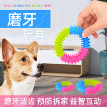 宠物狗玩具磨牙橡胶圈小型犬耐咬洁齿橡胶多刺圈泰迪金毛互动神器