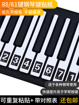 电钢琴键盘贴纸手卷琴键贴54 61 88键数字简谱音符音标初学者配件