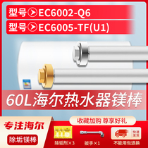 适用海尔60L升EC6002-Q6 EC6005-TF(U1)电热水器镁棒排污水垢阳极