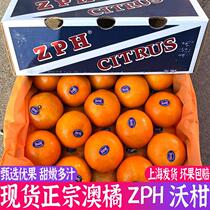 【礼盒装】现货澳橘ZPH沃柑柑橘8斤甜嫩多汁桔子沃柑蜜橘新鲜水果