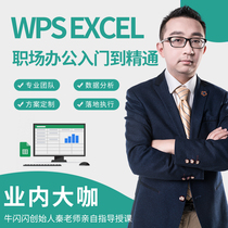 【高阶全套】WPS视频教程office软件办公软件excel入门零基础课程