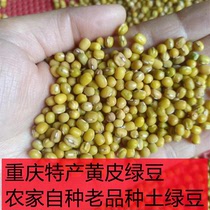 重庆特产黄皮绿豆23年新货农家自留老品种黄壳小绿豆炖汤发绿豆芽