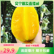 【顺丰包邮】福建下河甜杨桃新鲜当季水果五角星阳桃整箱4.5斤