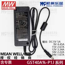 台湾GST40A12-P1J电源适配器5V/7.5V15V/24V工业驱动节能ACDC