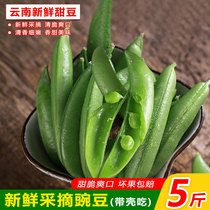 云南农家新鲜带壳甜豆青豆鲜豌豆荚非荷兰豆甜新鲜蔬菜5斤