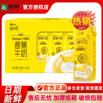 5月产蒙牛奶特香蕉/香草风味牛奶饮品243mL12盒整箱礼盒早餐正品